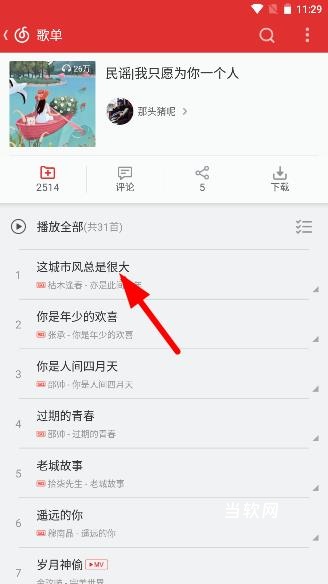 网易云音乐极致精简版_音乐软件_第4张_当软网 网易云音乐极致精简版_https://www.downruan.com_音乐软件_第4张